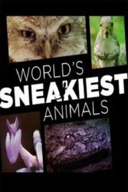 World’s Sneakiest Animals